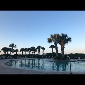 Meet your Posher, Dina